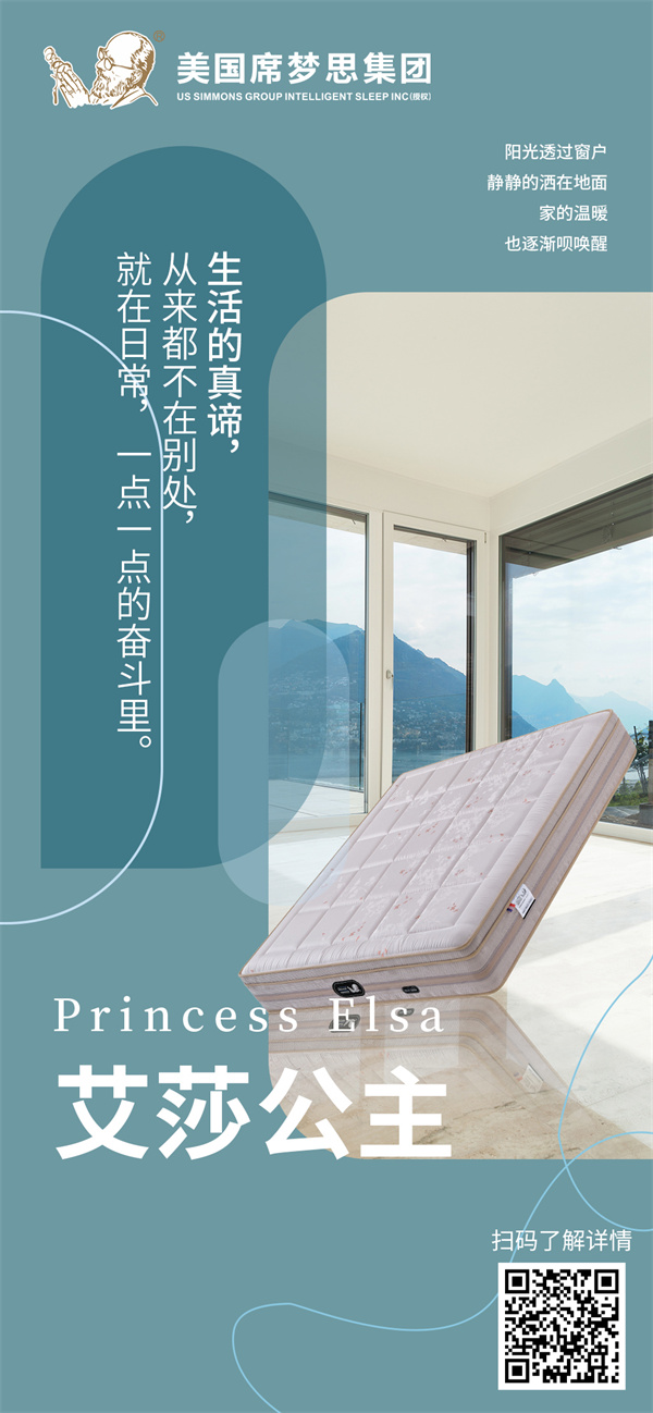 艾莎公主